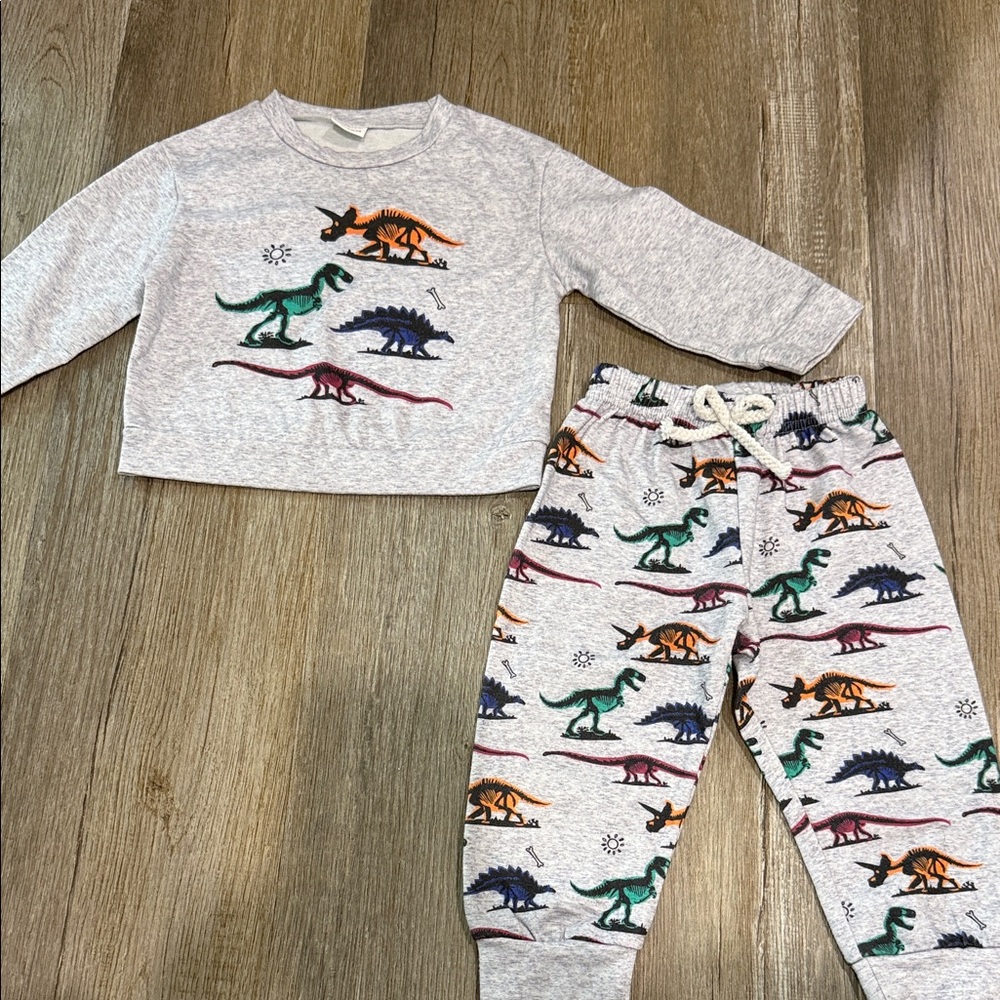Dinosaur Print | Matching Set